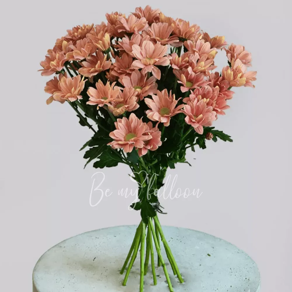 Pastel Bloom Flowers