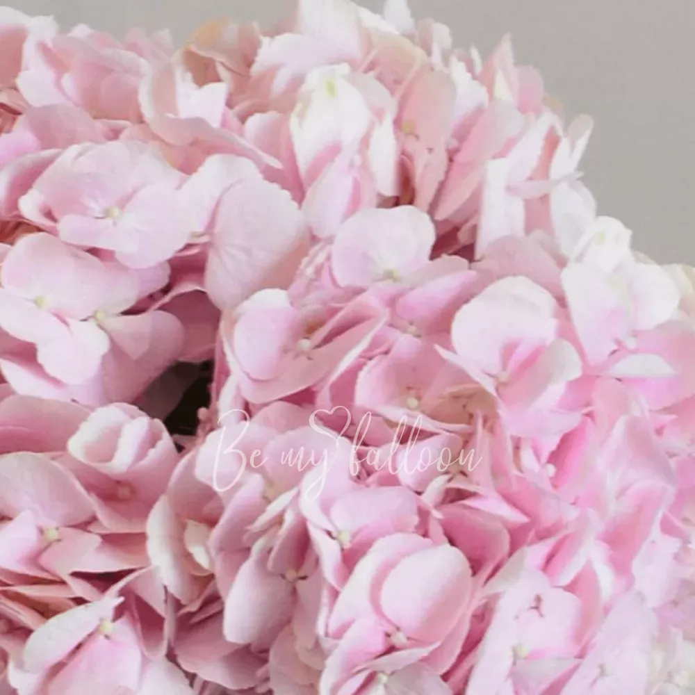 Pink Hydrangea Bouquet
