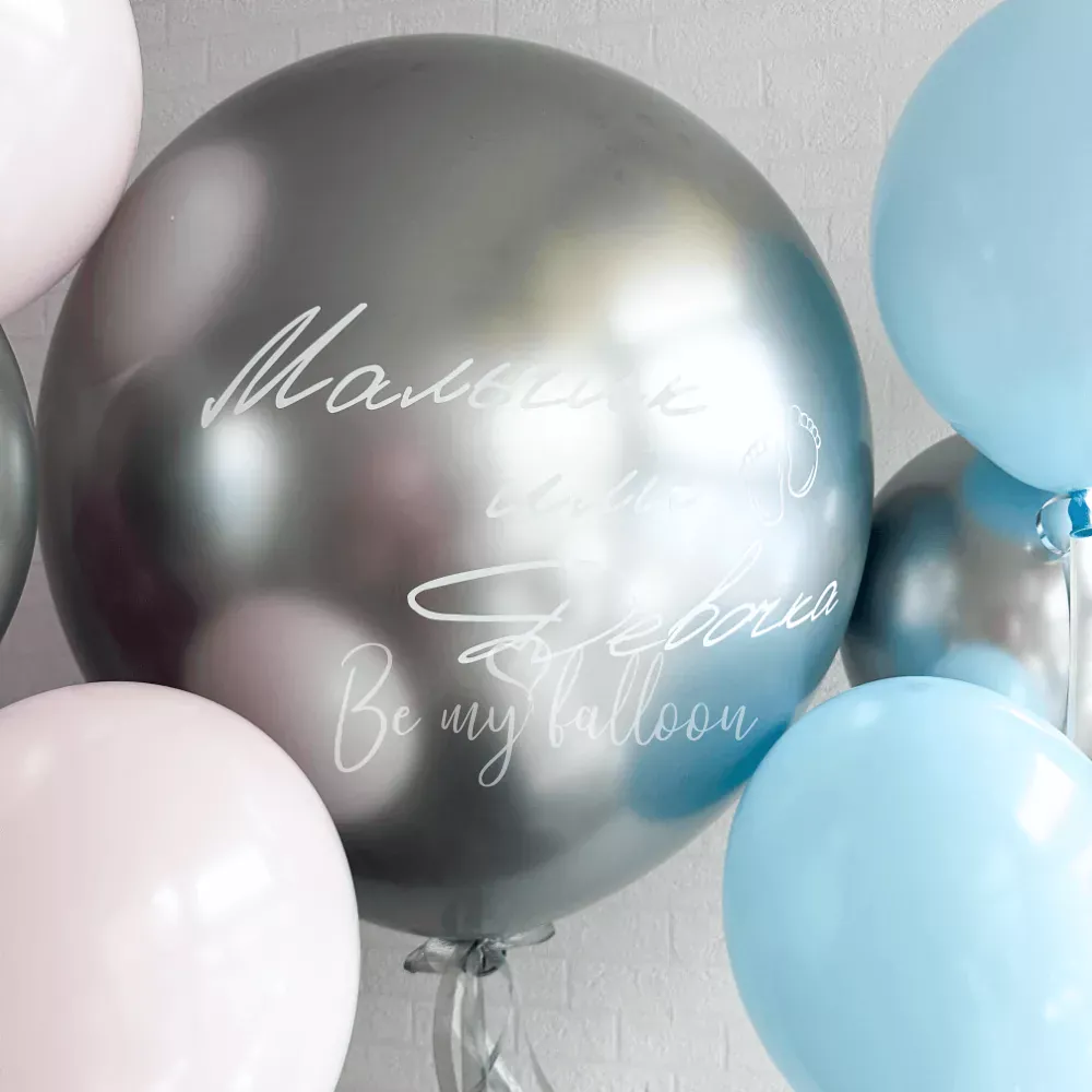 Gentle Giant Gender reveal composition