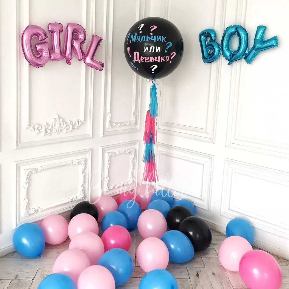 Gender Party Balloon Photozone 