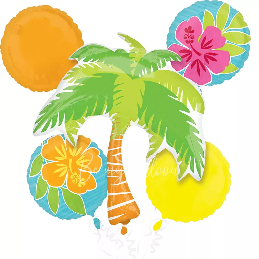 باقة بالونات مشهد الصيف